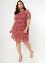 Plus Pink Scalloped Lace Skater Dress