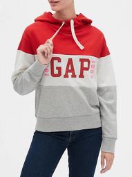 Gap Logo Colorblock Pullover Hoodie