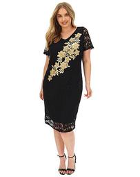 Joanna Hope Placement Lace Dress