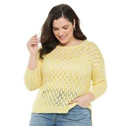 Plus Size EVRI Crewneck Pointelle Pullover Sweater