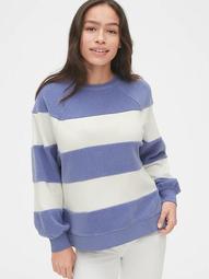 Textured Stripe Raglan Crewneck Sweatshirt