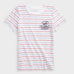 STRIPE EMBROIDERED T-SHIRT