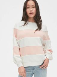 Textured Stripe Raglan Sweater