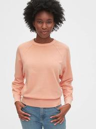 Vintage Soft Raglan Sweatshirt