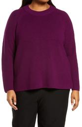 Raglan Sleeve Merino Wool Turtleneck Sweater