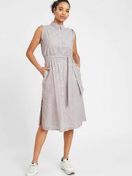 Petite Stripe Cotton-Linen Shirtdress