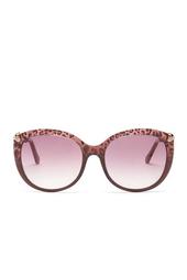 Women's Oversized Acetate Frame Sunglasses