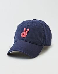 AEO Embroidered Graphic Baseball Cap