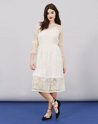 Simply Be Embroidered Mesh Dress
