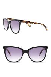 Full Rim Square Cat Eye Sunglasses