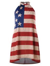 Plus Size Patriotic American Flag Dress