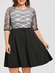Lace Panel Plus Size Fit and Flare Dress