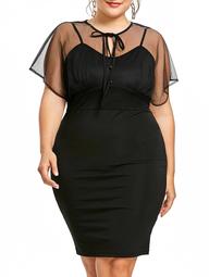 Plus Size Sheer Empire Waist Fitted Dress