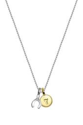 Sterling Silver & 14K Gold Mini Wishbone Charm Necklace