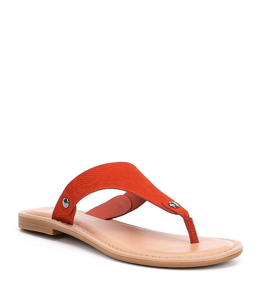 antonio melani flip flops