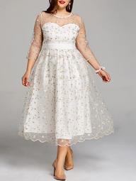 Plus Size Embroidery Floral Tulle Tea Length Dress