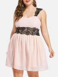 Plus Size Lace Panel Fit and Flare Dress