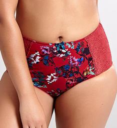 Sculptresse by Panache Chi Chi Full Brief Panty 7692