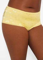 Novelty Mesh Lace Brief Panty