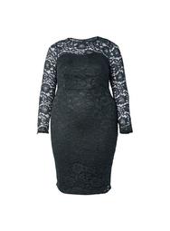 **DP Curve Black Lace Fitted Dress