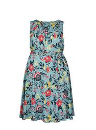 **Billie & Blossom Curve Blue Floral Print Dress