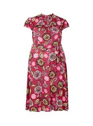**Billie & Blossom Curve Pink Floral Print Fit and Flare Dress
