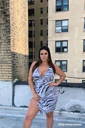Plus Size Tiger Striped Dress