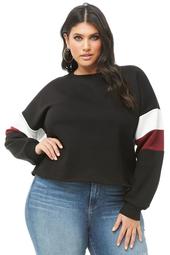 Plus Size Colorblock Sweatshirt