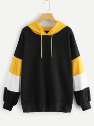 Plus Cut And Sew Panel Hoodie