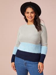 Plus Raglan Sleeve Colorblock Sweater