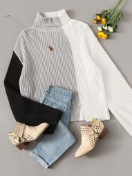 Plus Colorblock Turtleneck Split Sweater