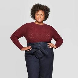 	Women's Plus Size Long Sleeve Crewneck Pullover Sweater - A New Day™