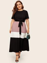 Plus Cut-and-sew Fit & Flare Dress With Belt